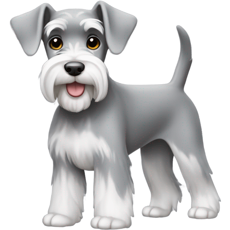 Miniature schnauzer grey and white  emoji