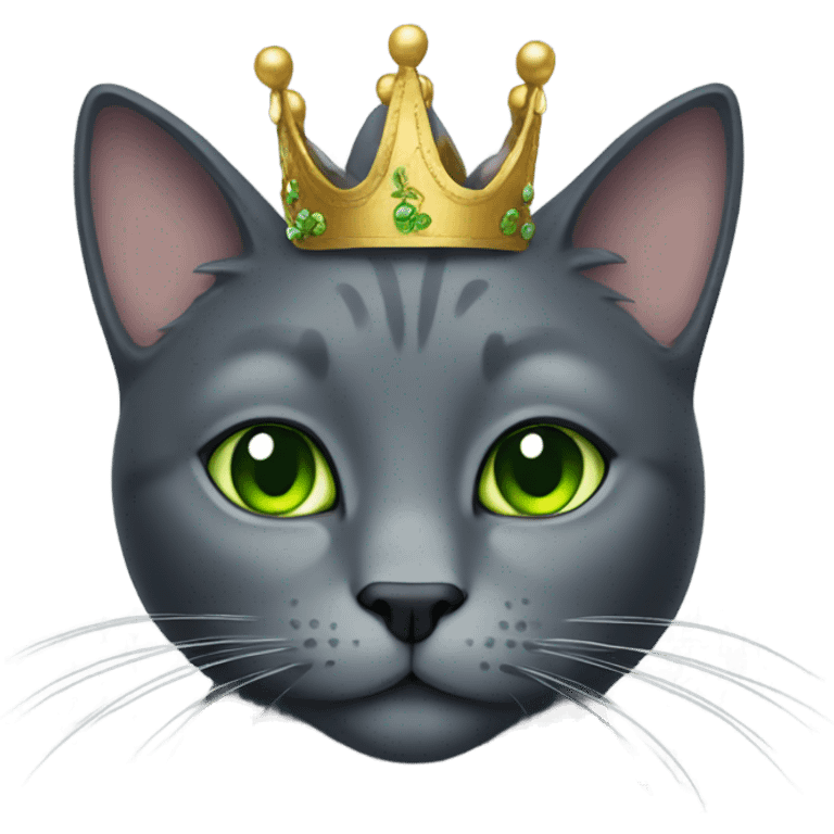 "darkgray cat with eye green with a crown emoji