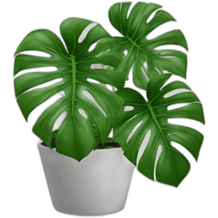 Plante monstera pas contente   emoji