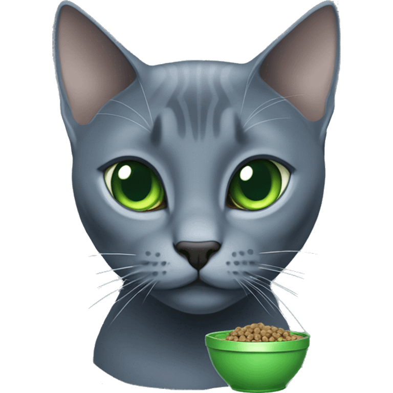 Russian Blue with green,blue eyes, eating cat food emoji