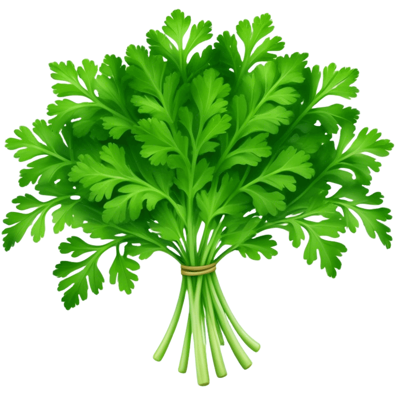 Cinematic Realistic Parsley Emoji, Fresh and vibrant, with bright green, frilly leaves that seem to shimmer with vitality. The plant exudes a sense of healthy growth and aromatic zest, inviting both beauty and flavor into any dish. Soft glowing outline, capturing the essence of freshness, health, and culinary delight in a sprig of parsley! emoji