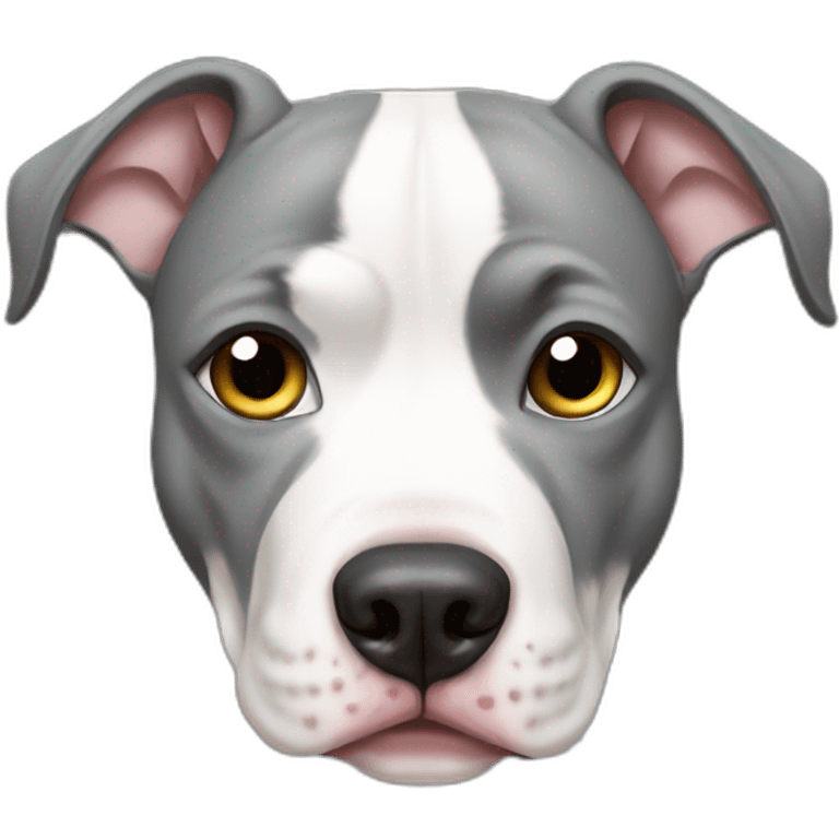 Crying grey and white Pitbull emoji