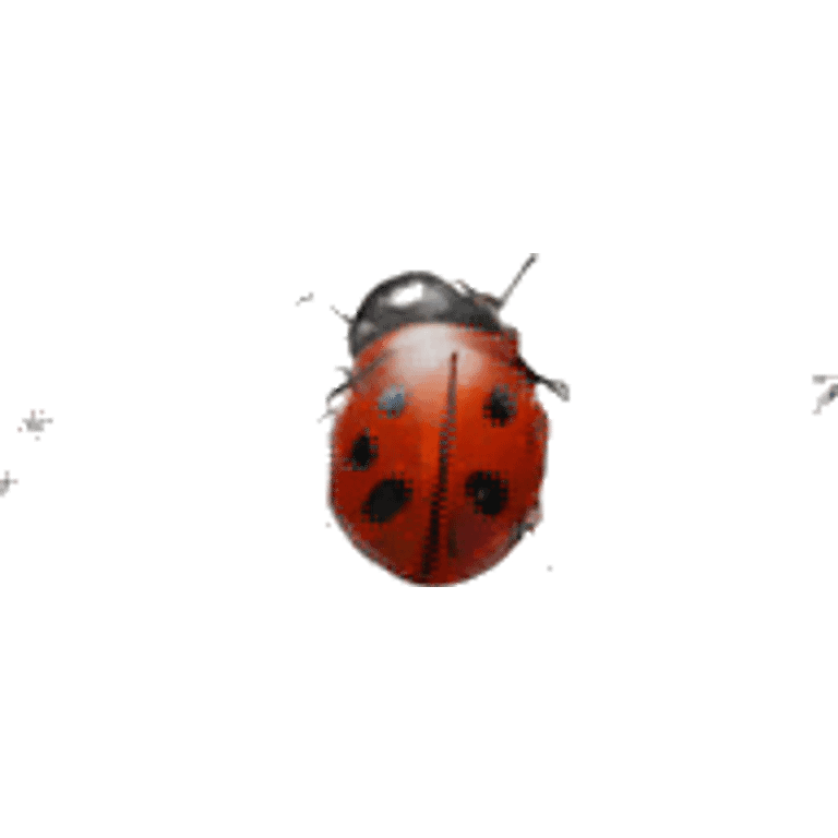 ladybug  emoji