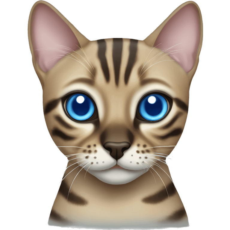 Seal Bengal cat with Blue eyes  emoji