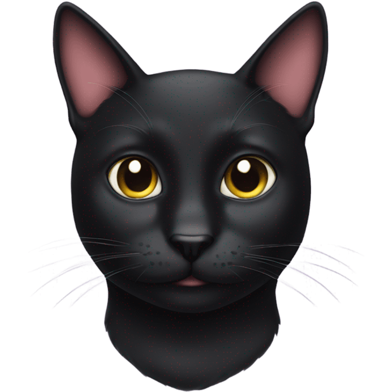 black cat with a moustache emoji