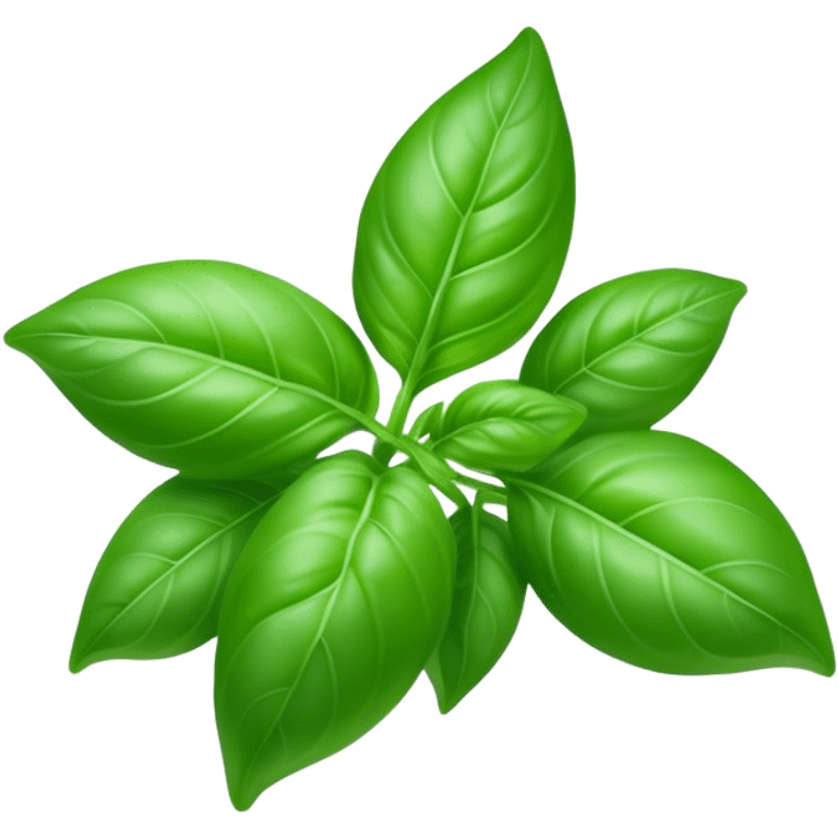 Cinematic Realistic Basil Emoji, Lush and fragrant, with vibrant green leaves that release a fresh, herbal aroma. The soft, glossy leaves are delicately arranged along slender stems, exuding vitality and flavor. Soft glowing outline, capturing the essence of freshness, growth, and aromatic delight in a blossoming basil plant! emoji