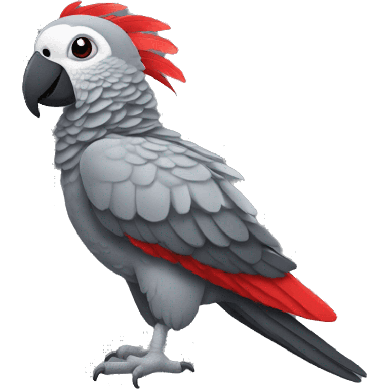 African grey parrot with red feather on his tail and not on his head with dark grey beak without red emoji