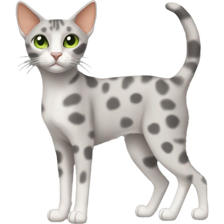 Short-haired oriental cat ,full body , grey coat with spots , green eyes , terracotta nuzzle emoji