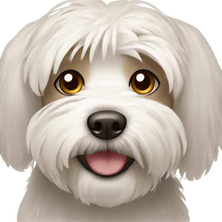 Havanese dog emoji