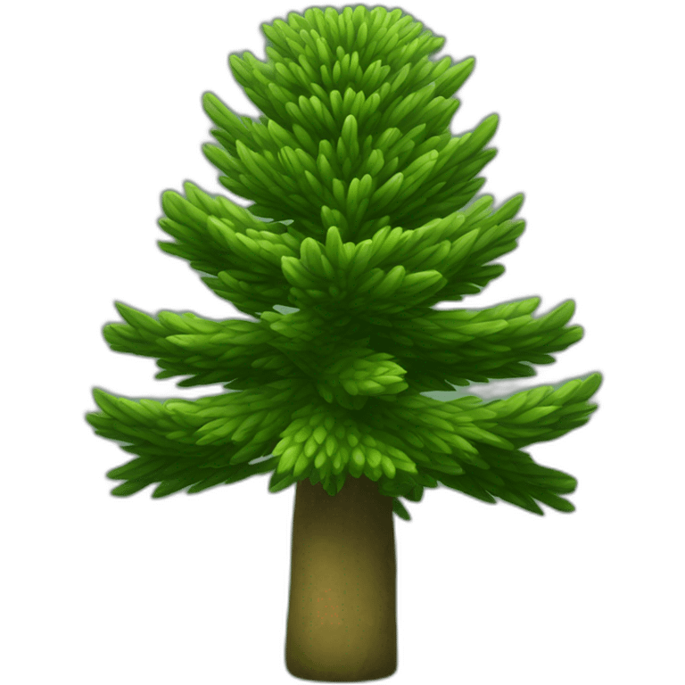 Araucaria columnaris emoji