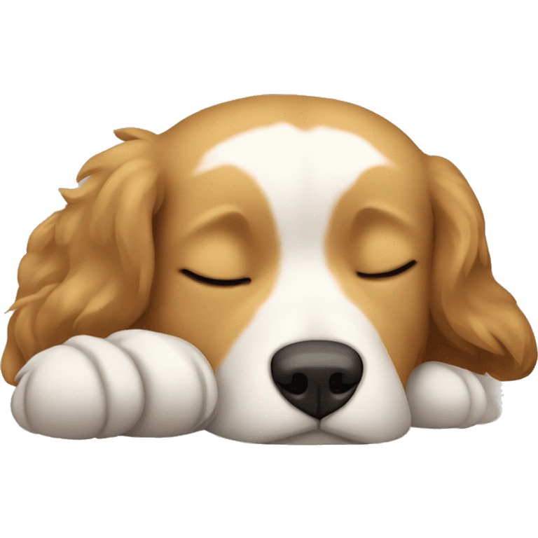 Light brown Tibetan mix dog sleeping  emoji