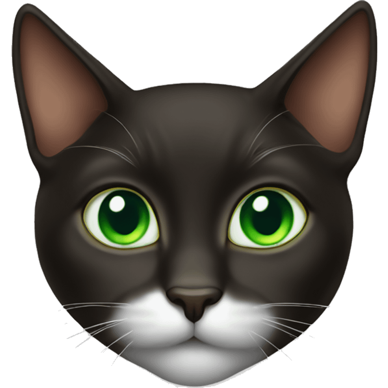 Cute Dark brown Tuxedo cat with green eyes emoji