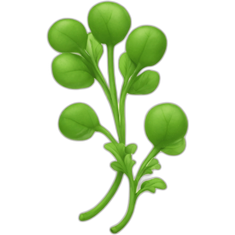 pea shoot emoji