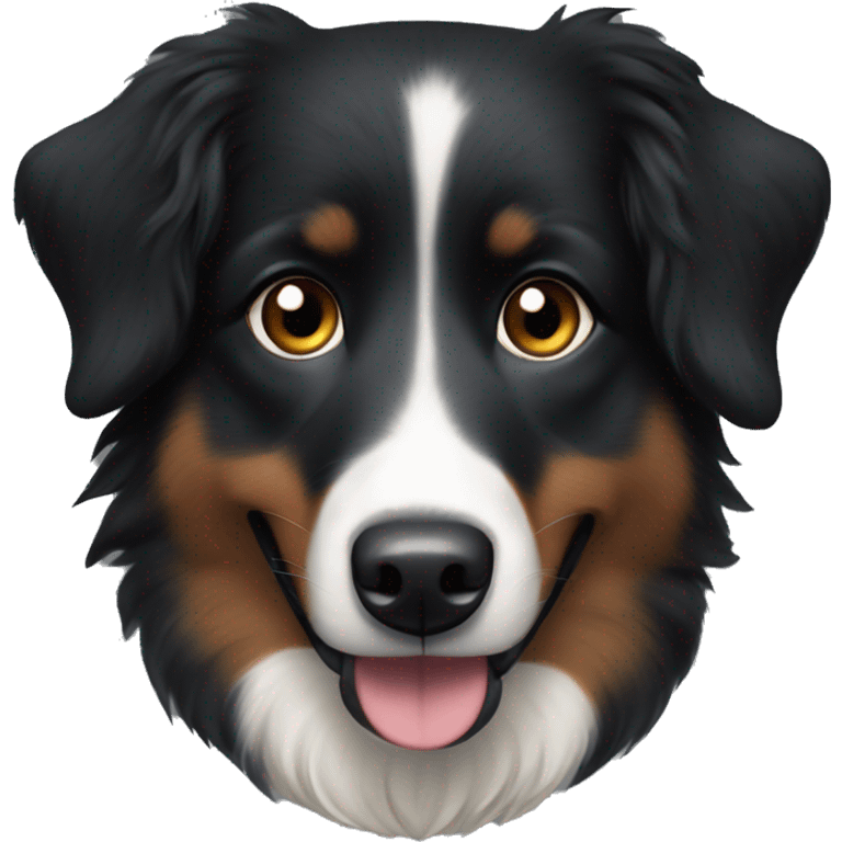 Small black australian shepherd dog with dark brown eyes and black face emoji