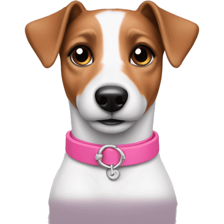 Jack Russel with pink collar  emoji