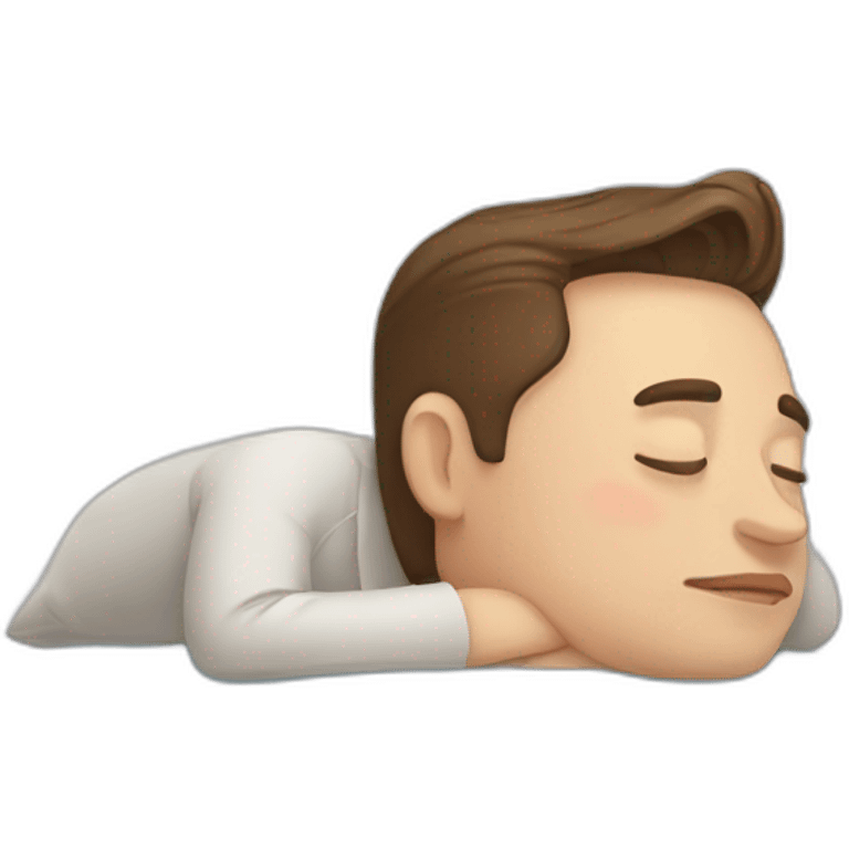 elon musk sleeping emoji