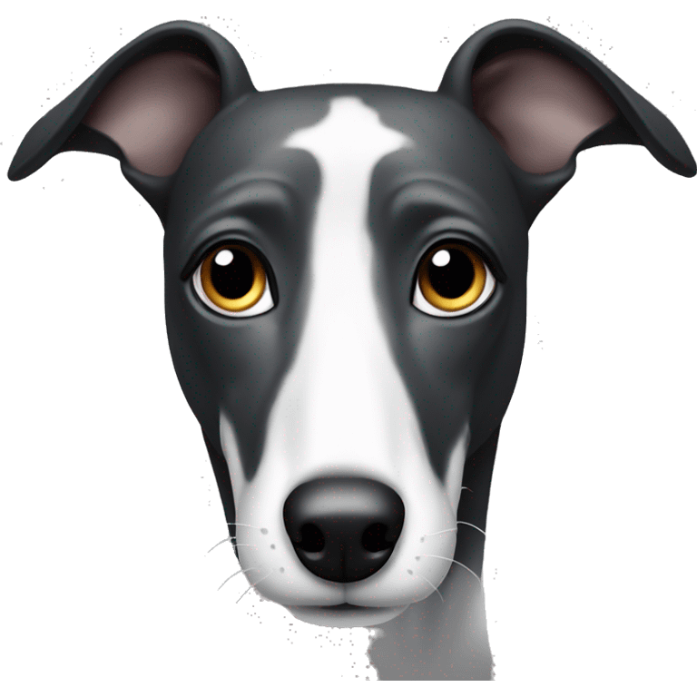 Black and white greyhound  emoji