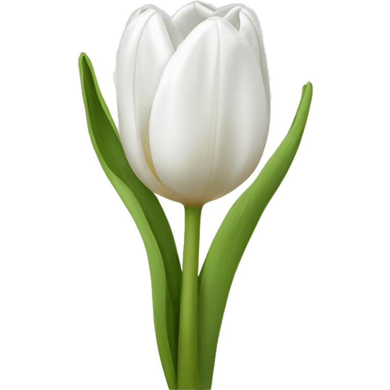 White tulip bouquet  emoji