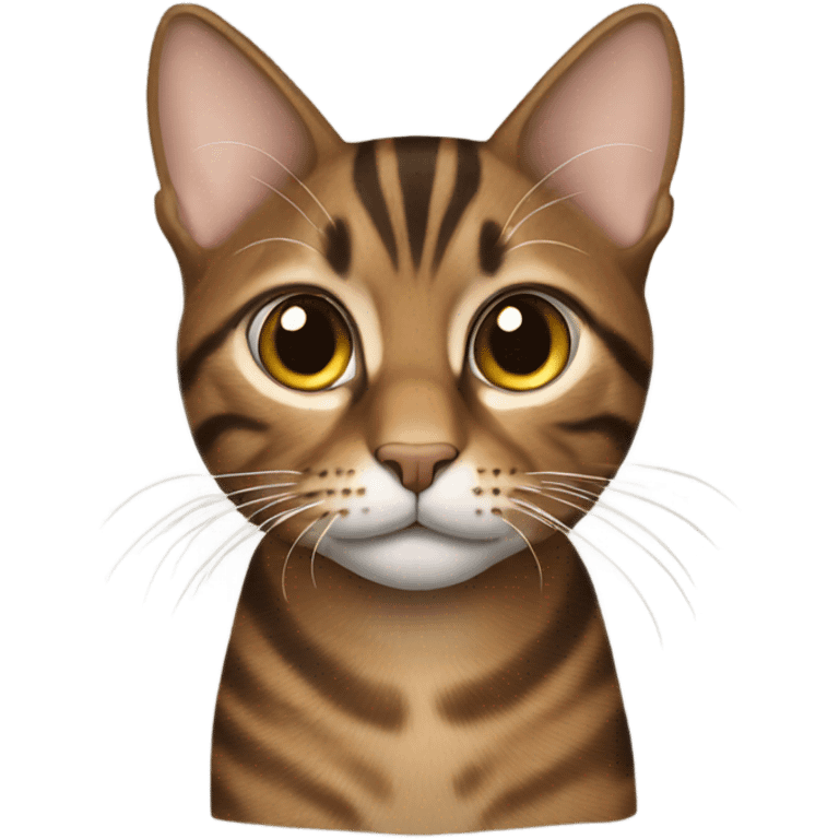 Brown tabby emoji