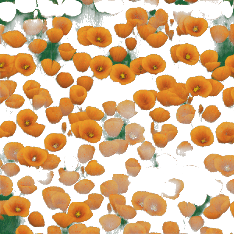 california poppy  emoji