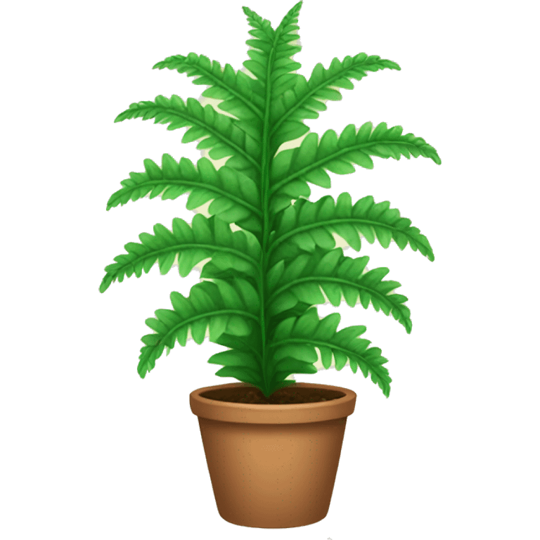 Fern plant in a pot emoji emoji