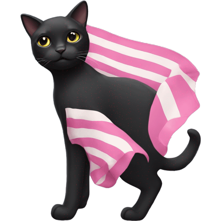 black cat holding trans flag emoji