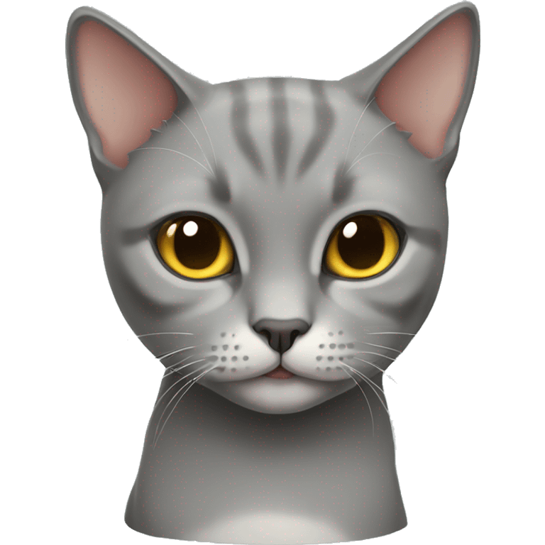 British short hair cat emoji