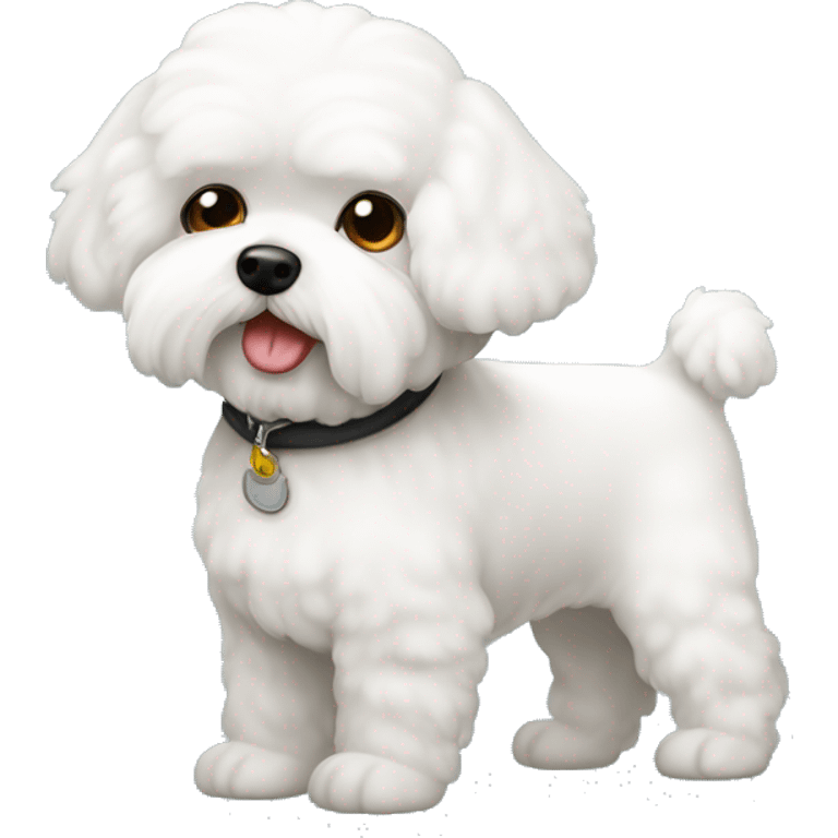 Bichon maltes tierno emoji