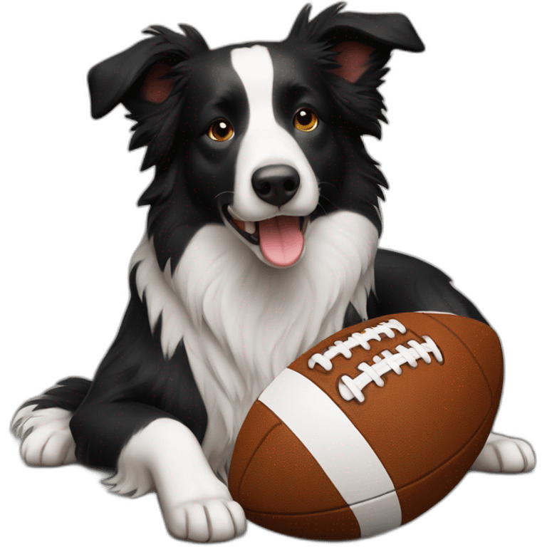 border collie with football emoji