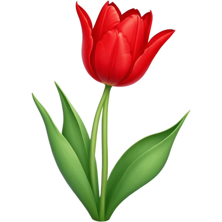 A tulip

 emoji