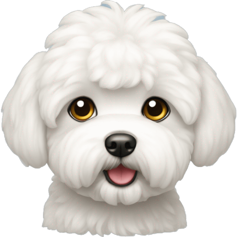 bichon maltes  emoji