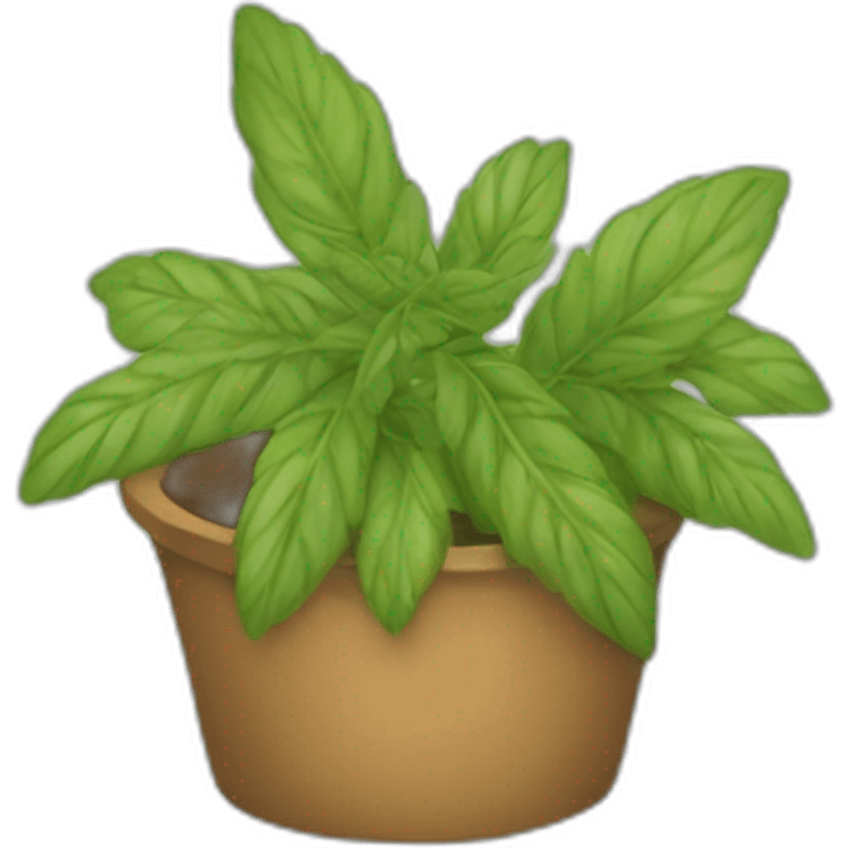 Paquete de yerba emoji