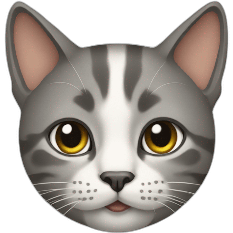 Cat designer emoji