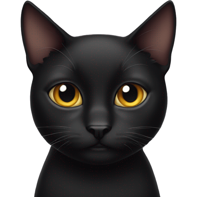 a one-eyed black cat emoji