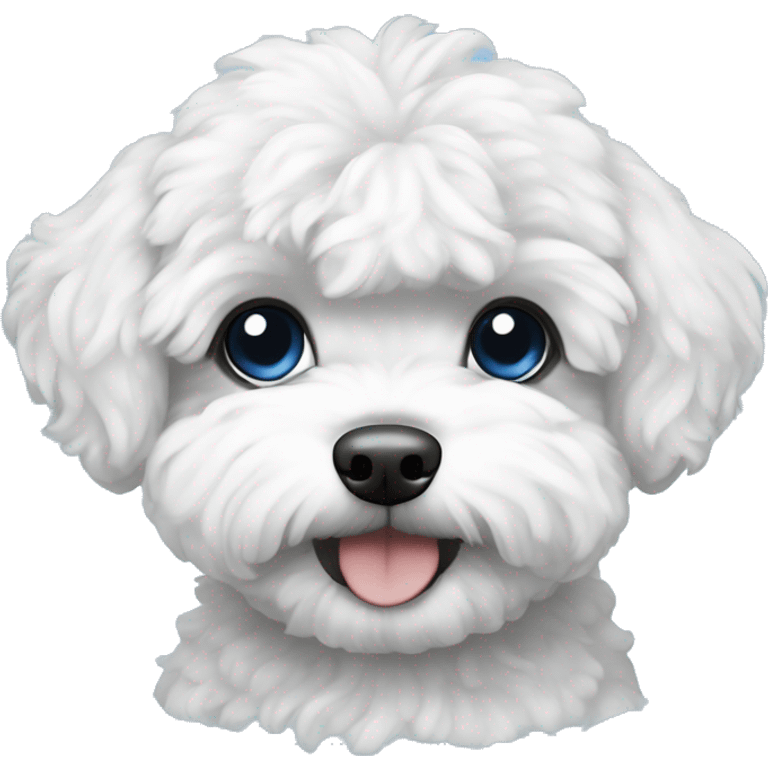 Maltipoo, black and white hair, blue eyes anime style emoji