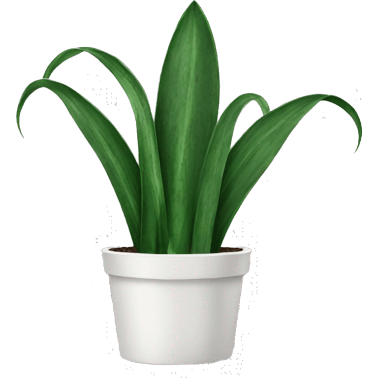 Snake Plant  emoji