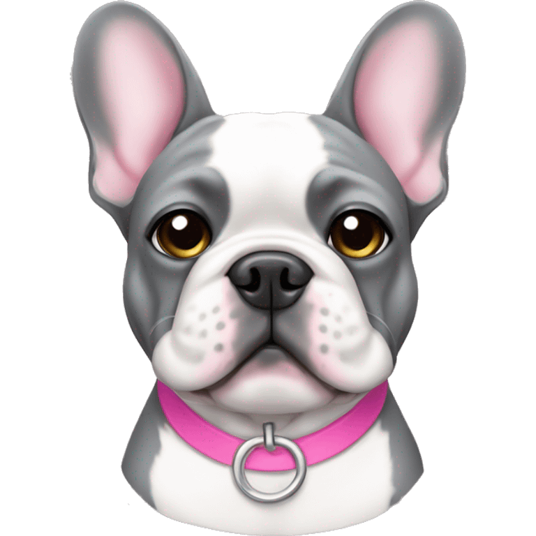 Grey and white French bulldog with pink collar emoji