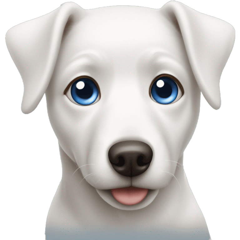 White dog with one blue eye and one brown eye emoji