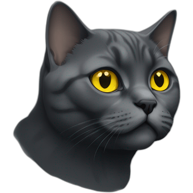 british shorthair cat in the Color black smoke with yellow eyes emoji