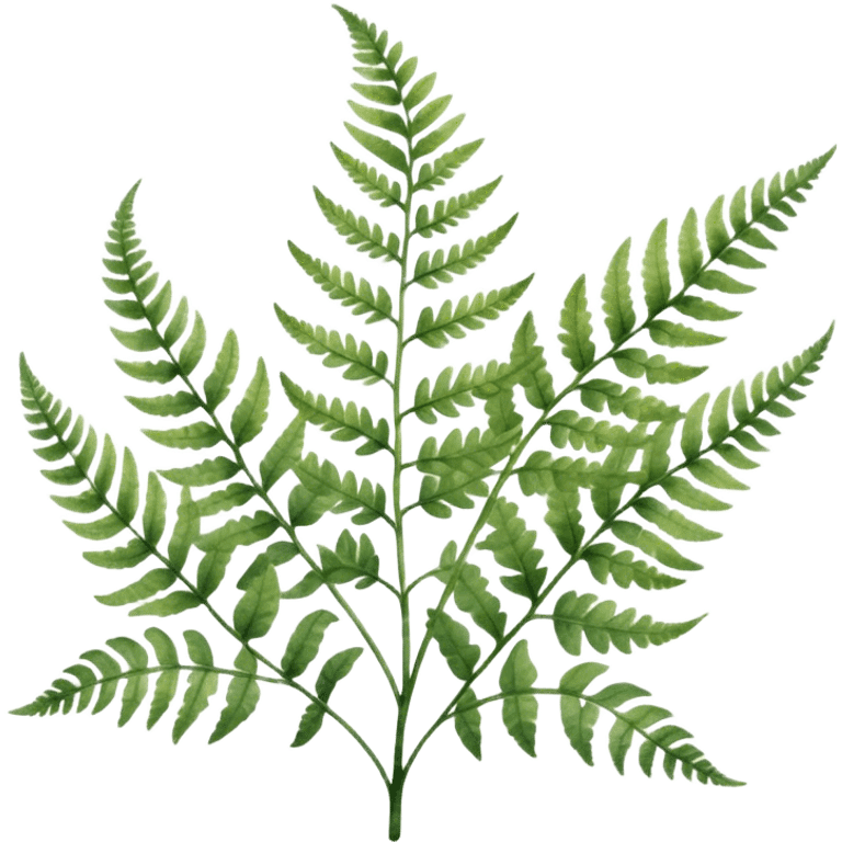 A close-up of a fern plant with intricate leaves, painted in soft watercolor greens with a subtle textured background.
 emoji