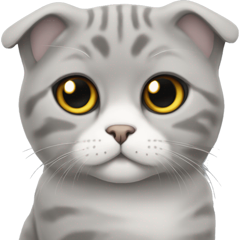 Scottish fold cat is grey  emoji