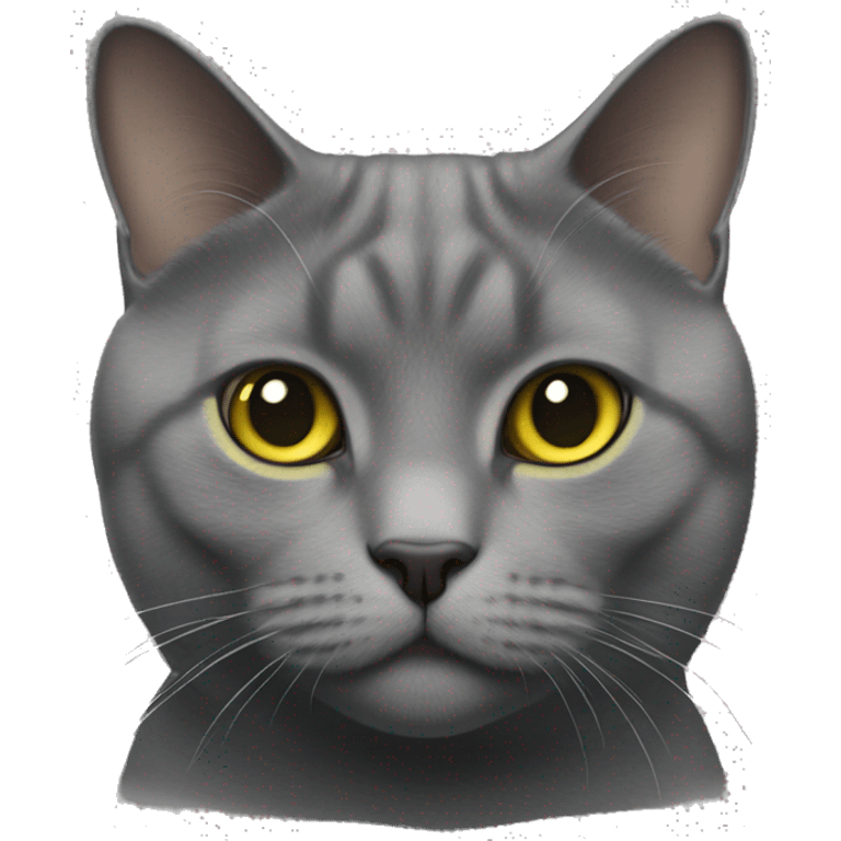 Realistic Thick chartreux cat emoji