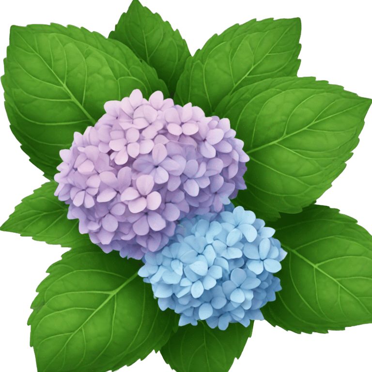 Hydrangeas  emoji