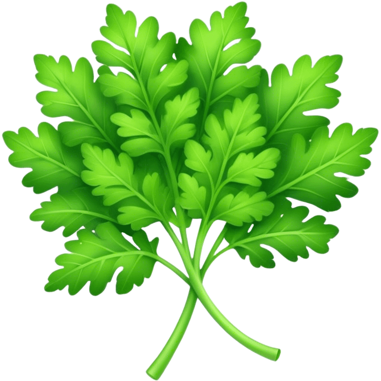 Cinematic Realistic Parsley Emoji, Fresh and vibrant, with bright green, frilly leaves that seem to shimmer with vitality. The plant exudes a sense of healthy growth and aromatic zest, inviting both beauty and flavor into any dish. Soft glowing outline, capturing the essence of freshness, health, and culinary delight in a sprig of parsley! emoji