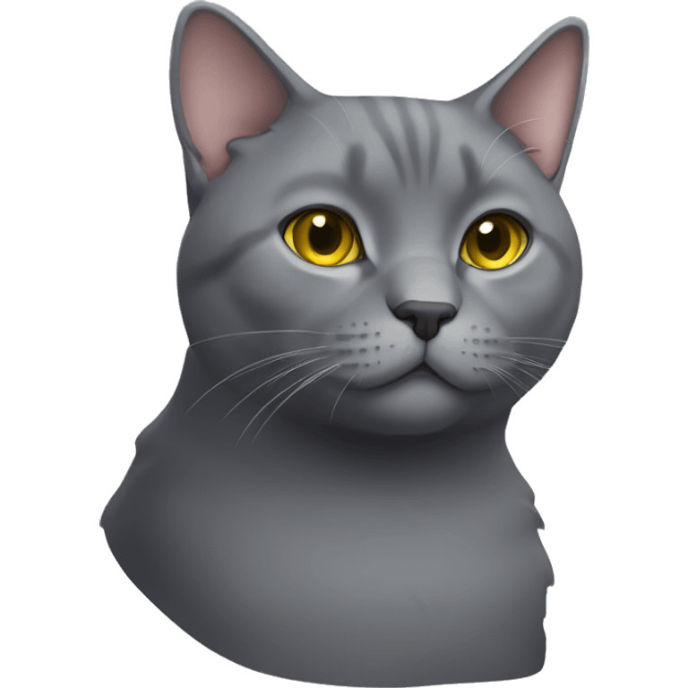 Thick chartreux cat emoji