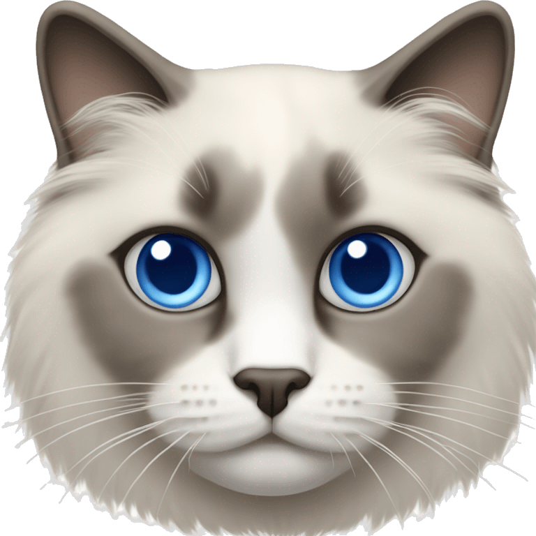 Ragdoll cat with blue eyes smaller head emoji