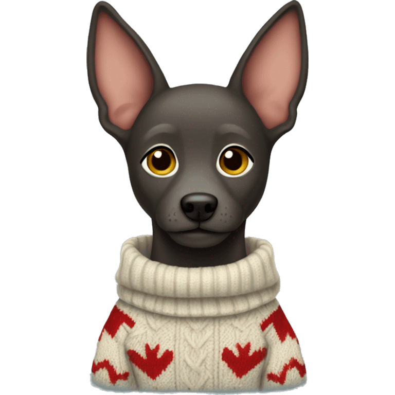 xoloitzcuintli dog with sweater  emoji