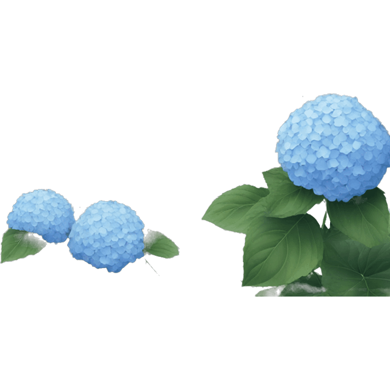 hydrangea in front of gray house  emoji