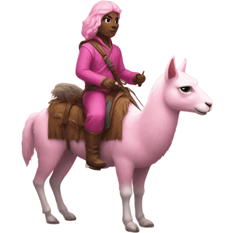 Pink cat riding a llama in dnd emoji