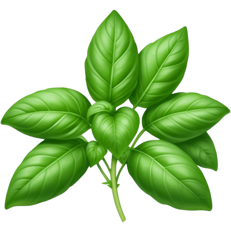 Cinematic Realistic Basil Emoji, Lush and fragrant, with vibrant green leaves that release a fresh, herbal aroma. The soft, glossy leaves are delicately arranged along slender stems, exuding vitality and flavor. Soft glowing outline, capturing the essence of freshness, growth, and aromatic delight in a blossoming basil plant! emoji